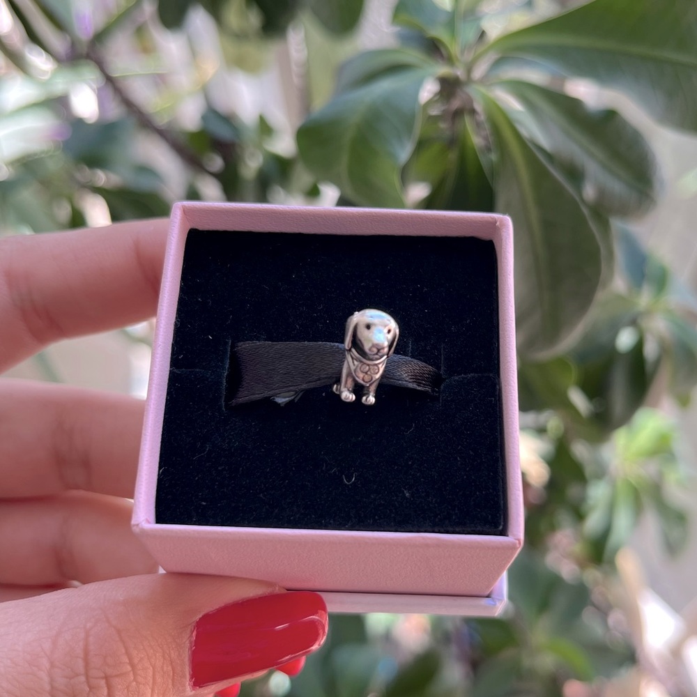 Cute dog / puppy 🐶 charm!